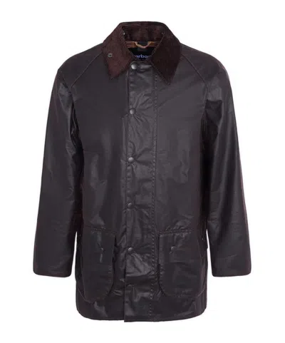 Barbour 