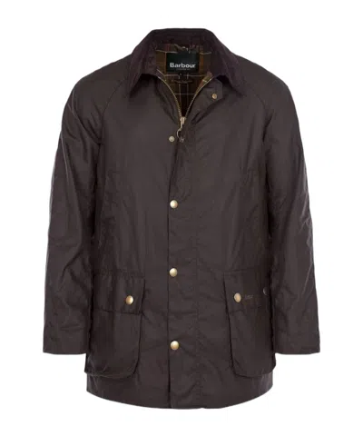 Barbour Womens Acorn Wax Jacket In Brown