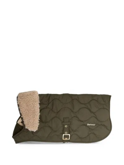 Barbour Beith Quilted Dog Coat In Grün