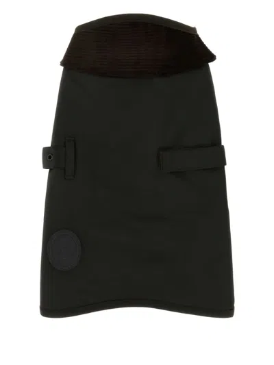 BARBOUR BELTED DOG COAT