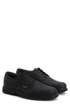 Barbour Carthy Plain Toe Derby In Black