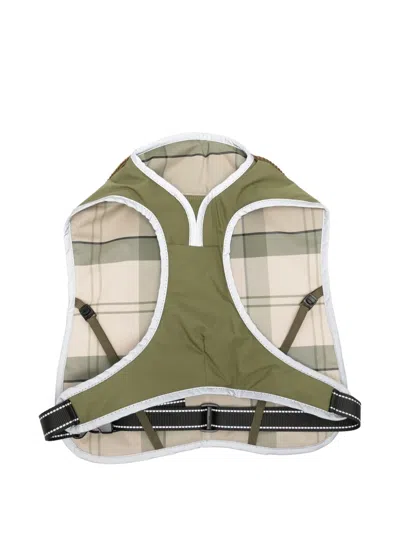 Barbour Corduroy-collar Tartan-lined Dog Coat In Green