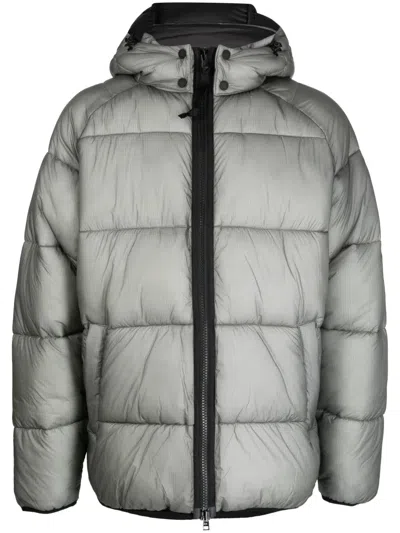 Barbour Driesh Logo-plaque Hooded Puffer Jacket In Green