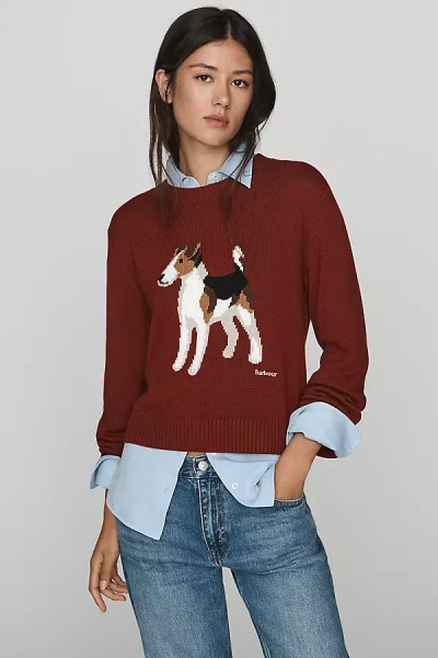 Barbour Joyce 100% Cotton Sweater In Pink