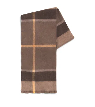 Barbour Lambswool Tartan Rosefield Scarf In Multi