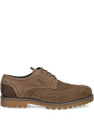 Barbour Marble Derby Shoes In Brown