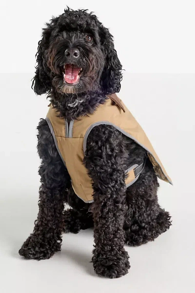 Barbour Monmouth Dog Coat Jacket In Sand