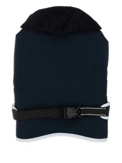 Barbour Padded Dog Coat In Blue