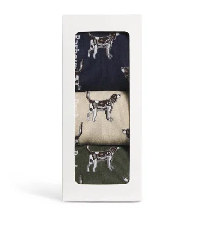 Barbour Pointer Dog Socks In Green