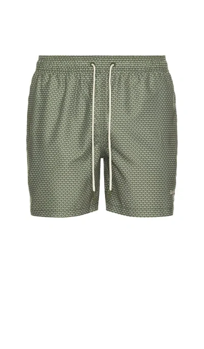 Barbour Shell Swim Short In Green