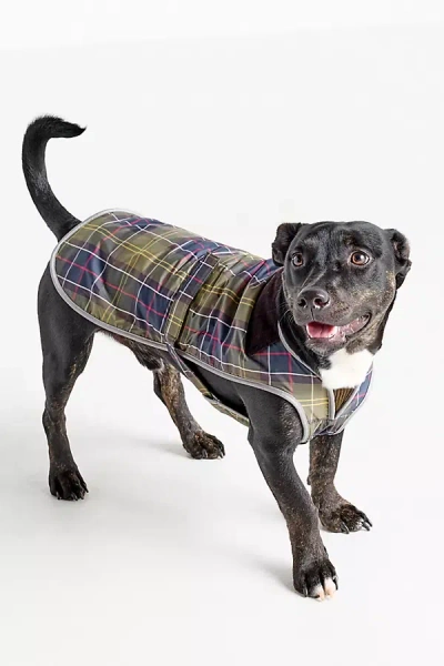 Barbour Tartan Dog Coat Jacket In Brown