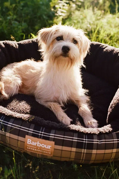 Barbour X Anthropologie 35" Round Tartan Dog Bed In Brown