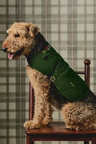 Barbour X Anthropologie Embroidered Collar Dog Coat Jacket In Green