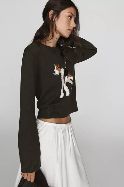 Barbour X Anthropologie Joyce 100% Cotton Sweater In Green