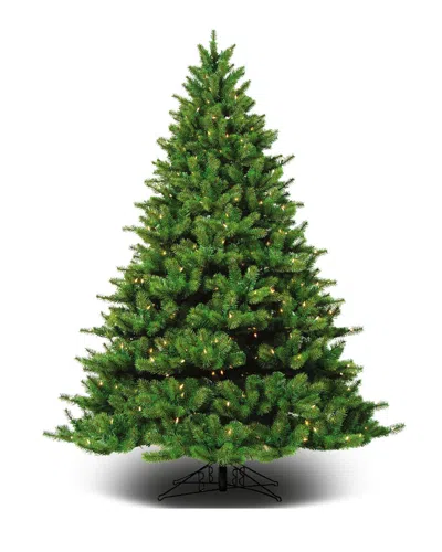 Barcana 7.5' Appalachian Fir Tree In Green