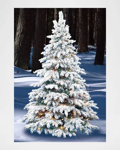 Barcana 8' Flocked Silvertip Pre-lit Christmas Tree In White