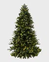 Barcana Chesapeake Fir Pre-lit Christmas Tree With Warm White Led Lights, 9' In Green