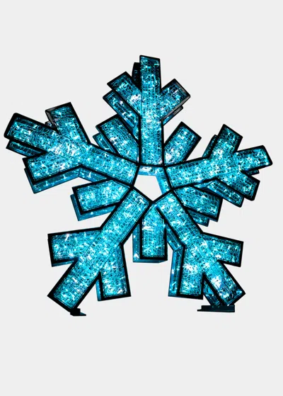 Barcana Double-sided Snowflake With Silver Frame In Metallic