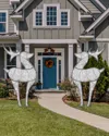 Barcana Medium 2d Deer With Clear White Led Lights In Multi