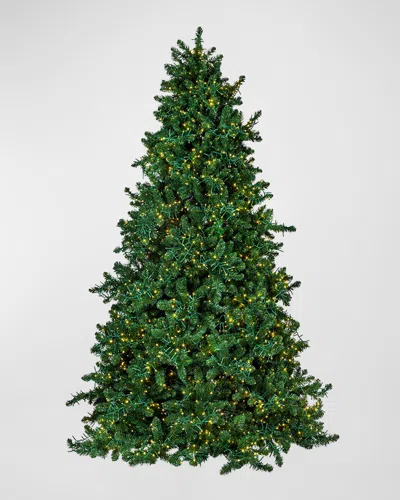 Barcana Royal Majestic Pine Pre-lit Christmas Tree W/ Cluster Warm White Led Lights, 7.5' In Green