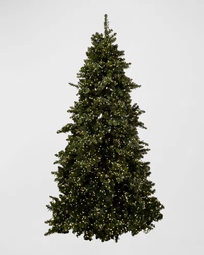 Barcana Royal Majestic Pine Pre-lit Christmas Tree W/ Cluster Warm White Led Lights, 9' In Green