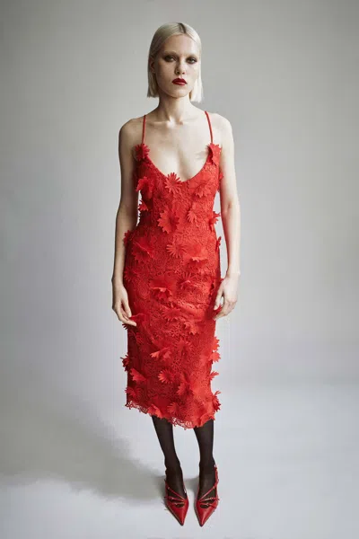 Bardot Adei Lace Midi Dress In Fire Red