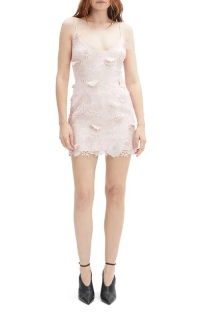Bardot Adei Lace Minidress