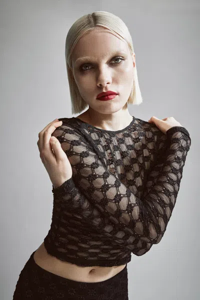 Bardot Adoni Sheer Long Sleeve Top In Black