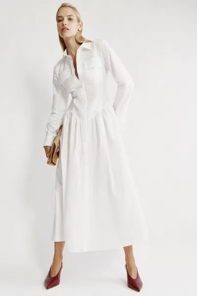 Bardot Agatha Fitted Shirt Dress