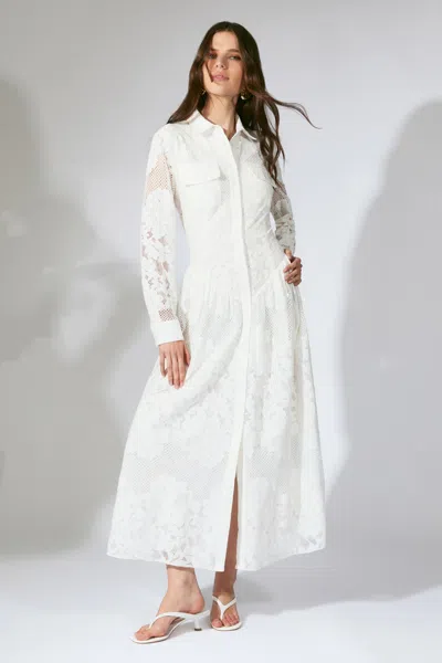 Bardot Agatha Lace Shirt Dress In White