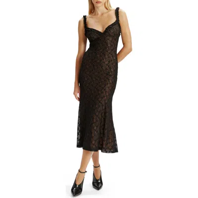 Bardot Alegra Stretch Lace Dress In Brown