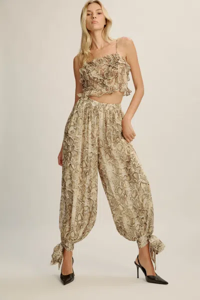Bardot Alira Printed Frill Crop Top In Brown
