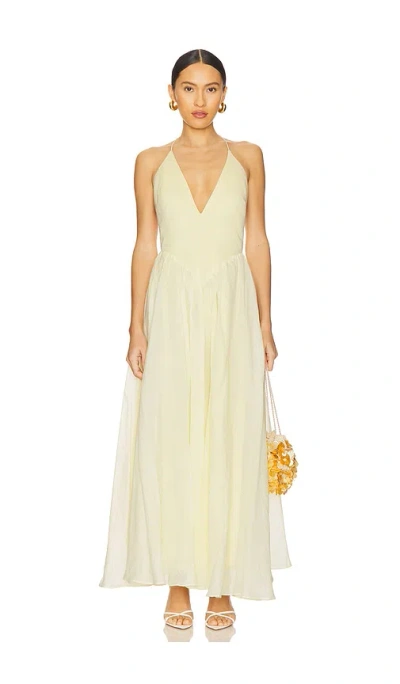 Bardot Arletha Halter Maxi Dress