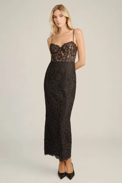 Bardot Blaine Lace Bustier Midi Dress In Black