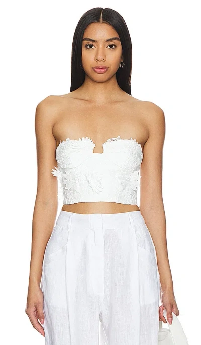Bardot Brias Bustier In 兰花白