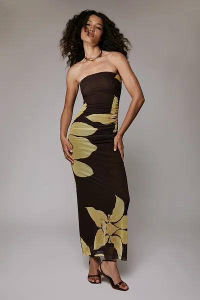 Bardot Ciera Strapless Mesh Dress In Brown