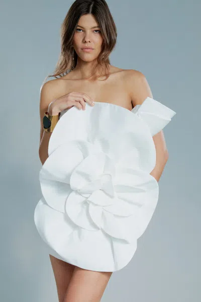 Bardot Domonique Mini Dress In Orchid Wht