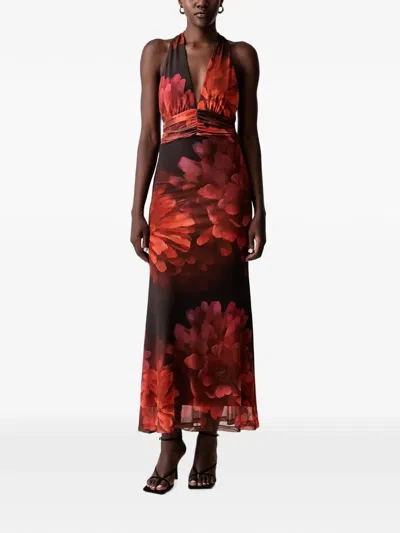 Bardot Elera Floral-print Halterneck Maxi Dress In Red