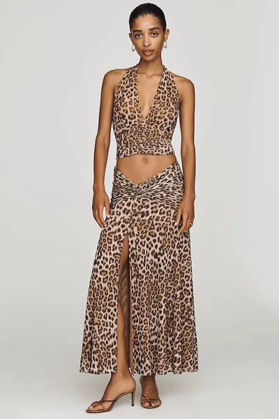 Bardot Elera Mesh Midi Skirt In Animal Print