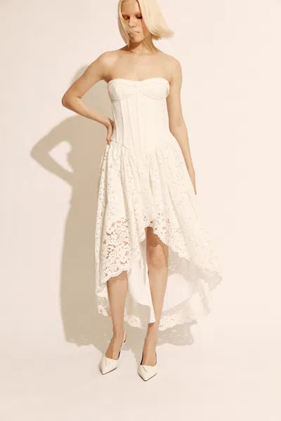 Bardot Felicidad Strapless Lace Dress In Orchid Wht