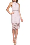 Bardot Gemma Sleeveless Cocktail Halter Dress In Purple In Pink