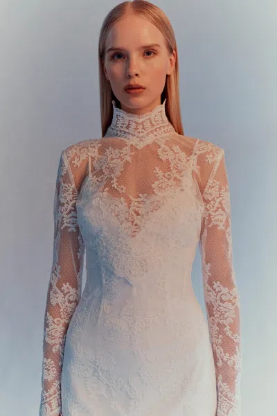Bardot Grace Sheer Lace Top In White