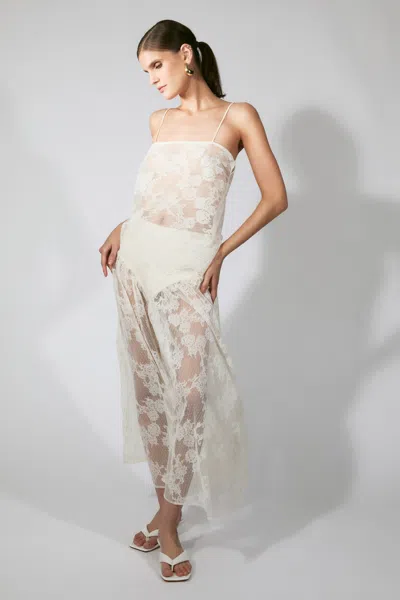 Bardot Hildie Sheer Lace Cami In White