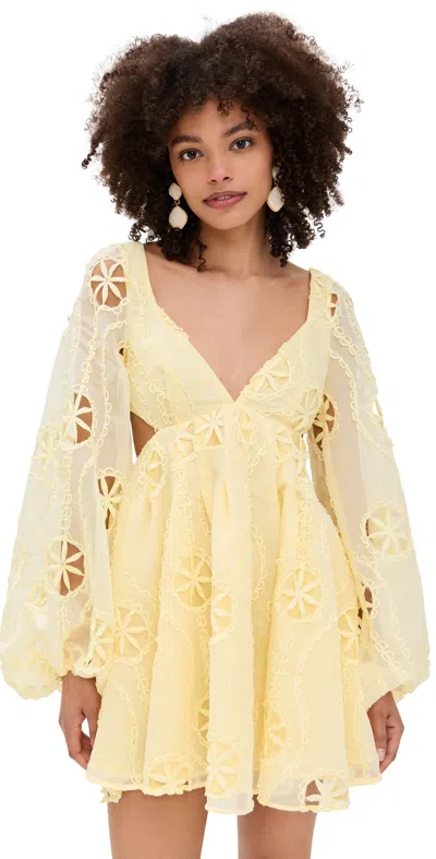 Bardot Jovie Puff-sleeve Embroidered Babydoll Dress In Lemon