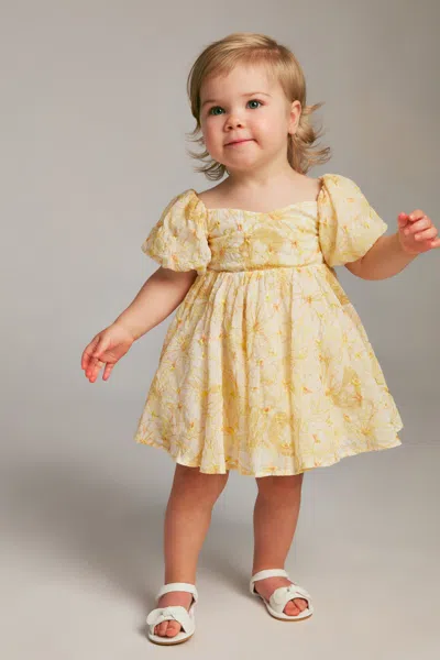 Bardot Junior Baby Adaline Embroidered Mini Dress In Yellow