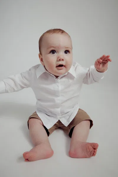 Bardot Junior Baby Boy Lawrence Button Down Shirt In Orchid Wht