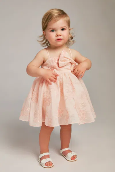 Bardot Junior Baby Girl Amelia Embroidered Bow Dress In Pink