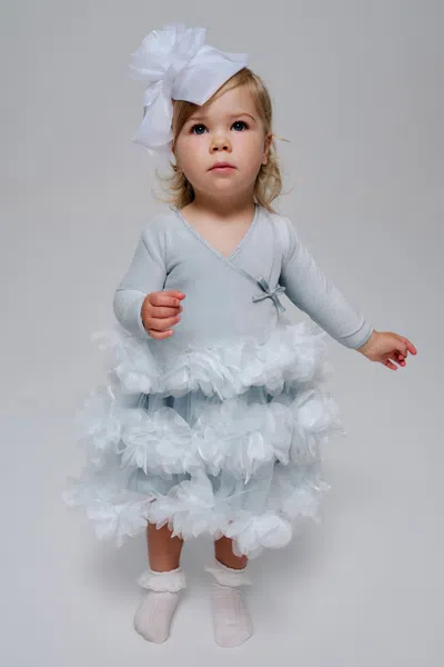 Bardot Junior Baby Girl Billie Organza Ballet Dress In Blue