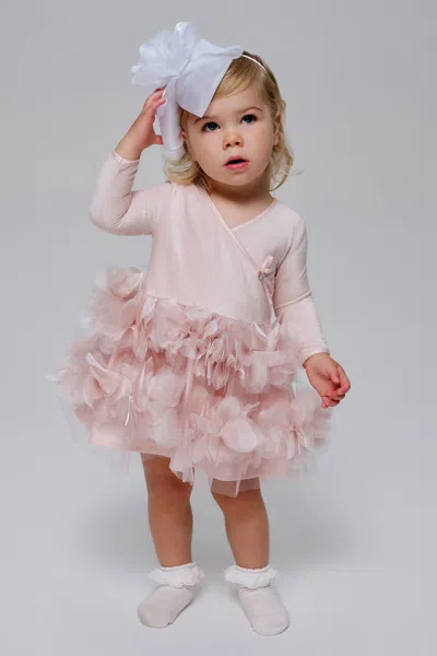 Bardot Junior Baby Girl Billie Organza Ballet Dress In Pink
