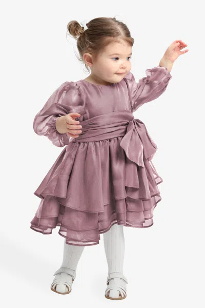 Bardot Junior Baby Girl Enya Organza Mini Dress In Dusty Rose